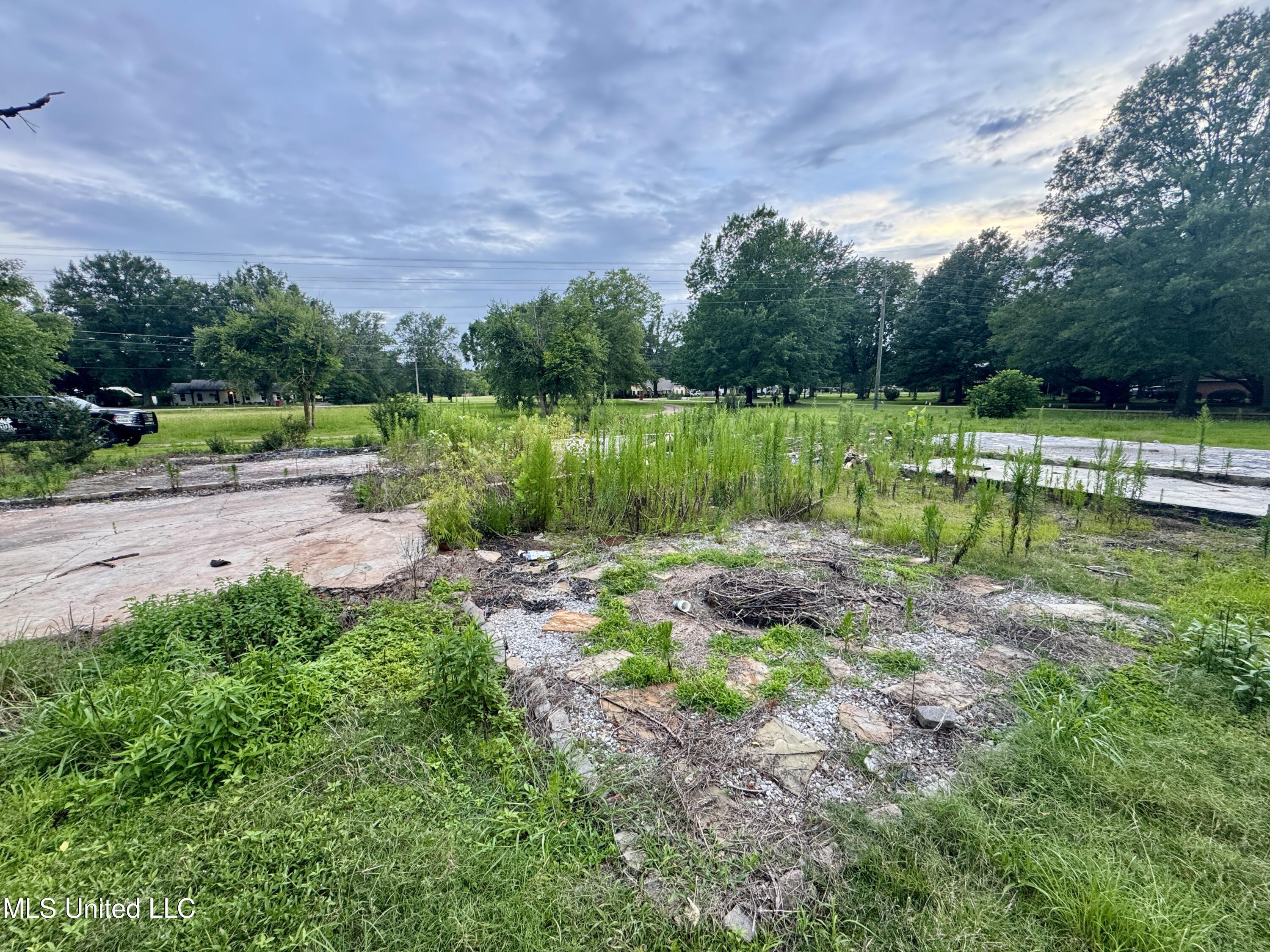 29757 Highway 32 Charleston, MS 38921 - Photo 11 of 19 IMG_3017