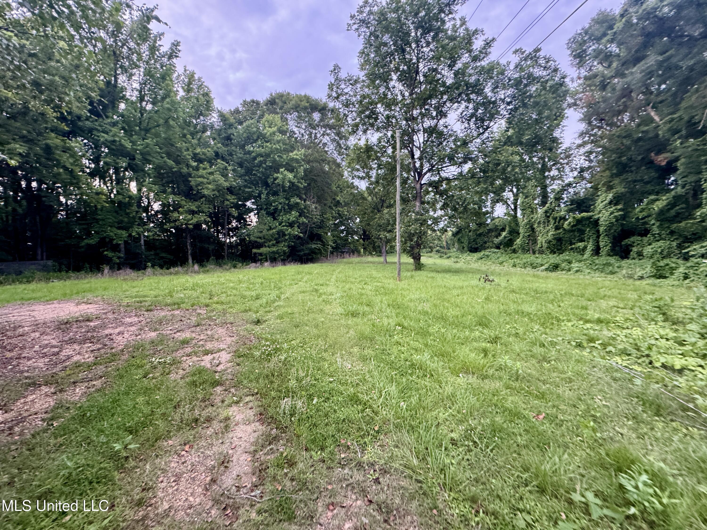 29757 Highway 32 Charleston, MS 38921 - Photo 13 of 19 IMG_3019