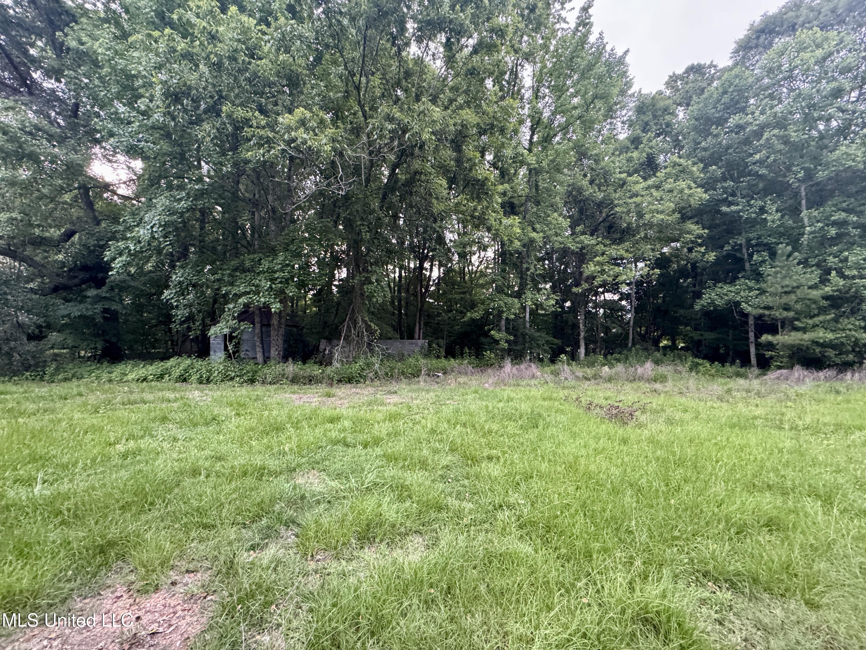 29757 Highway 32 Charleston, MS 38921 - Photo 14 of 19 IMG_3020