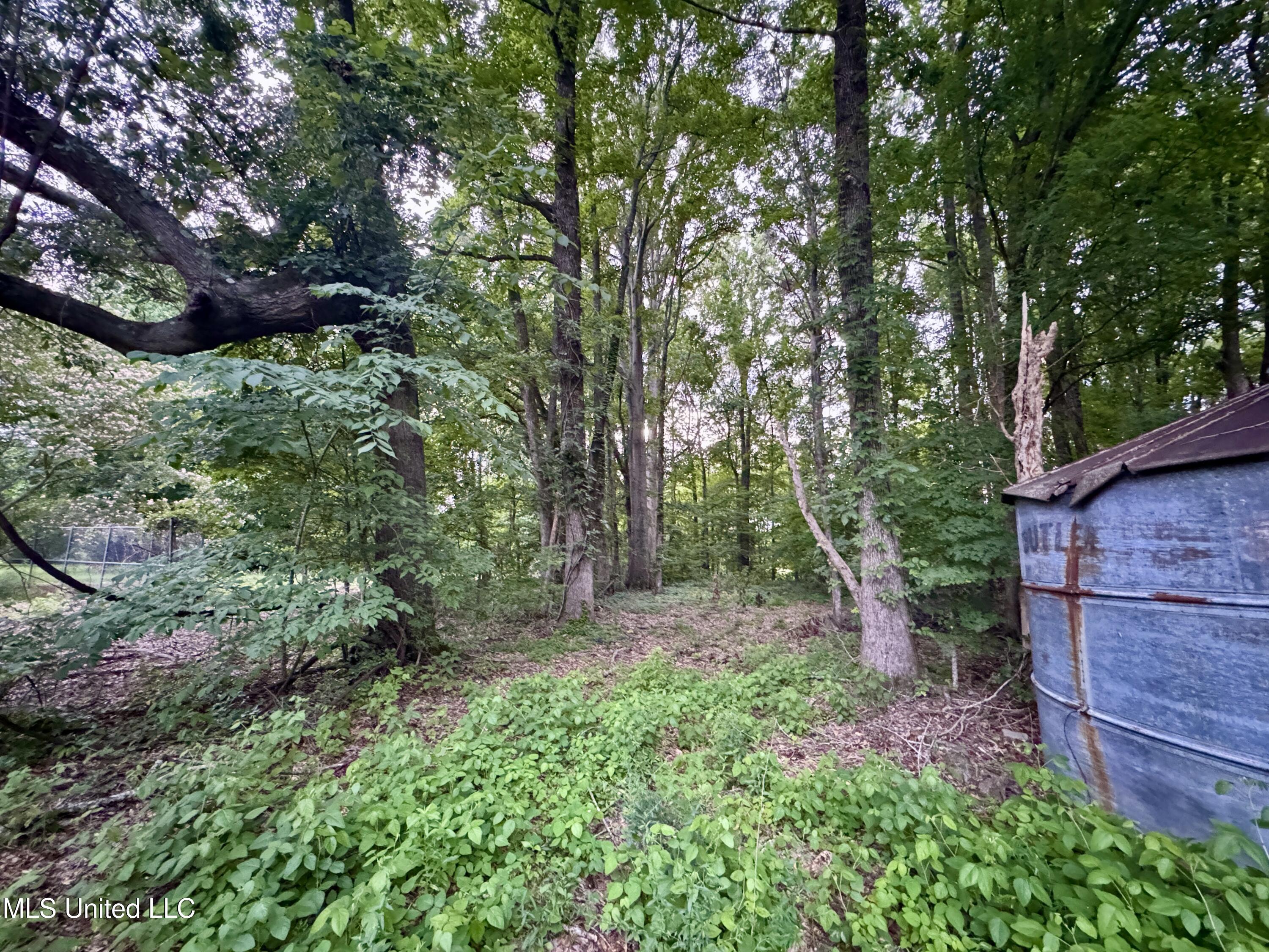 29757 Highway 32 Charleston, MS 38921 - Photo 16 of 19 IMG_3022