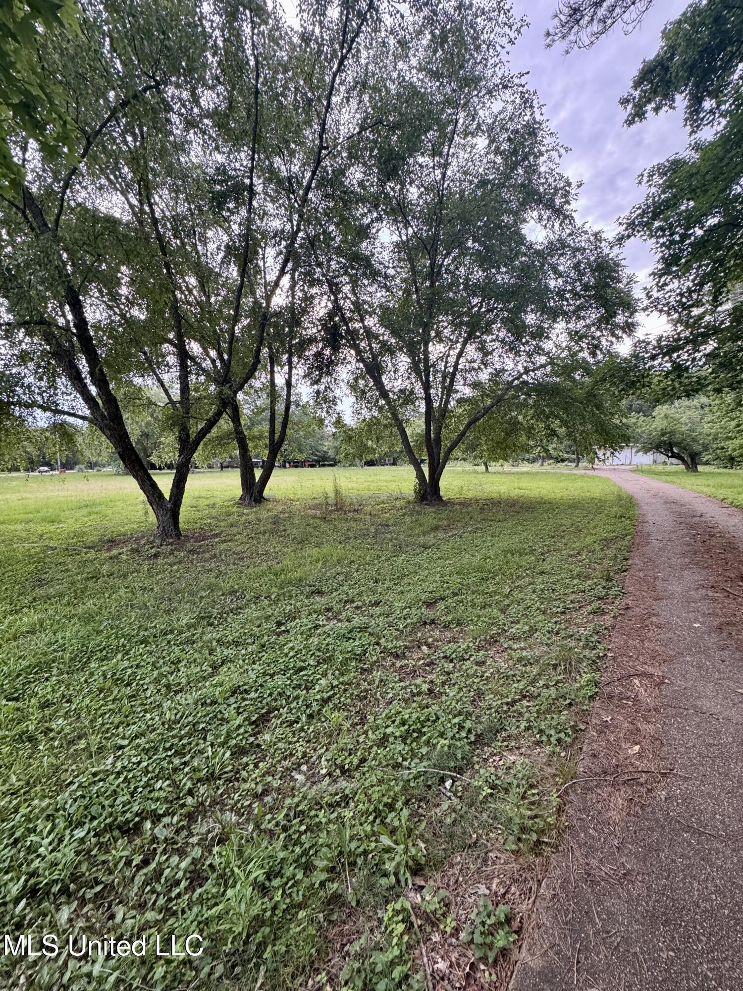 29757 Highway 32 Charleston, MS 38921 - Photo 2 of 19 IMG_3007