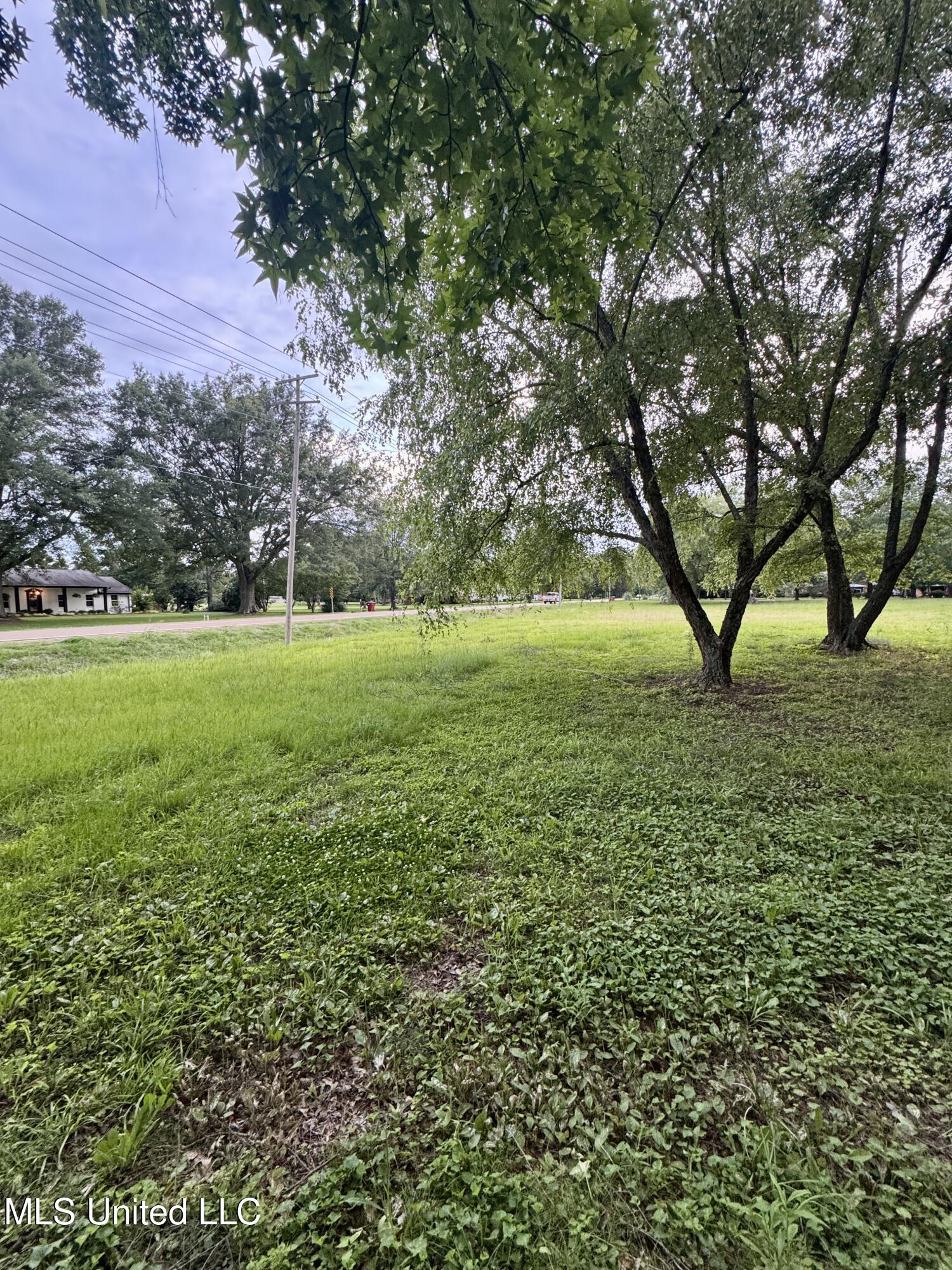 29757 Highway 32 Charleston, MS 38921 - Photo 3 of 19 IMG_3008