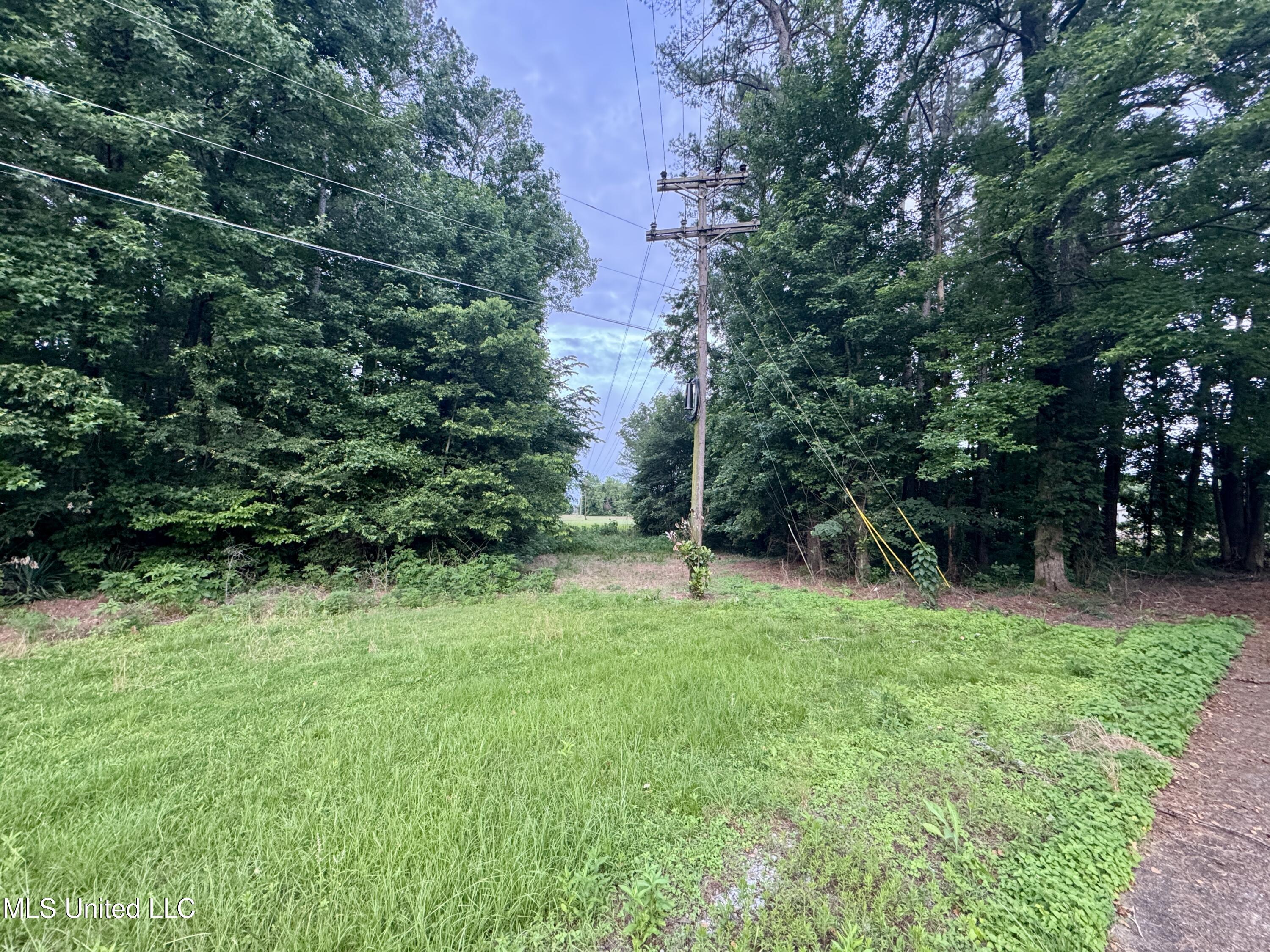 29757 Highway 32 Charleston, MS 38921 - Photo 9 of 19 IMG_3015