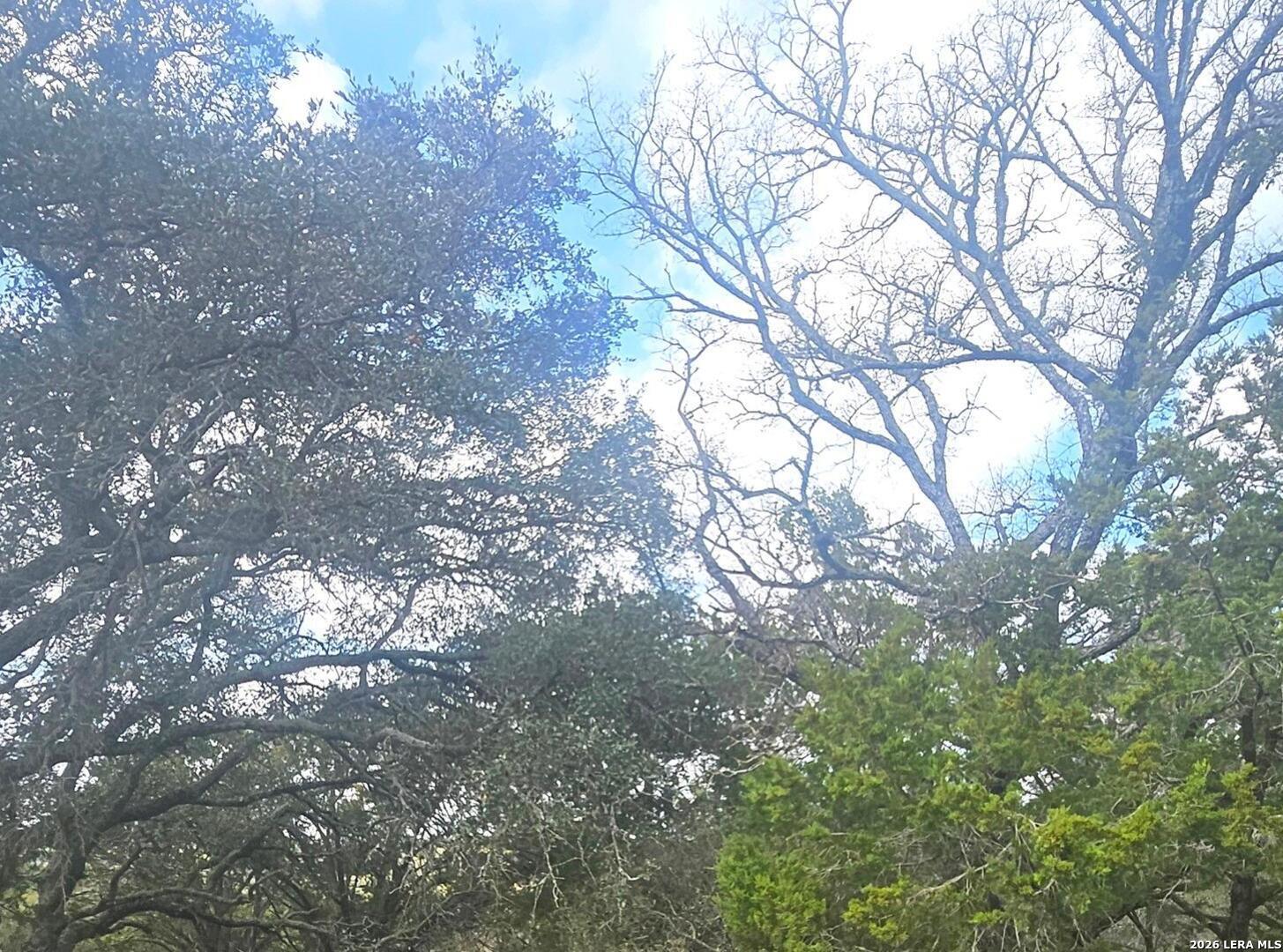 Prospect/yucca Prospect/yucca Austin, TX 78748 - Photo 13 of 25 a backyard of a house