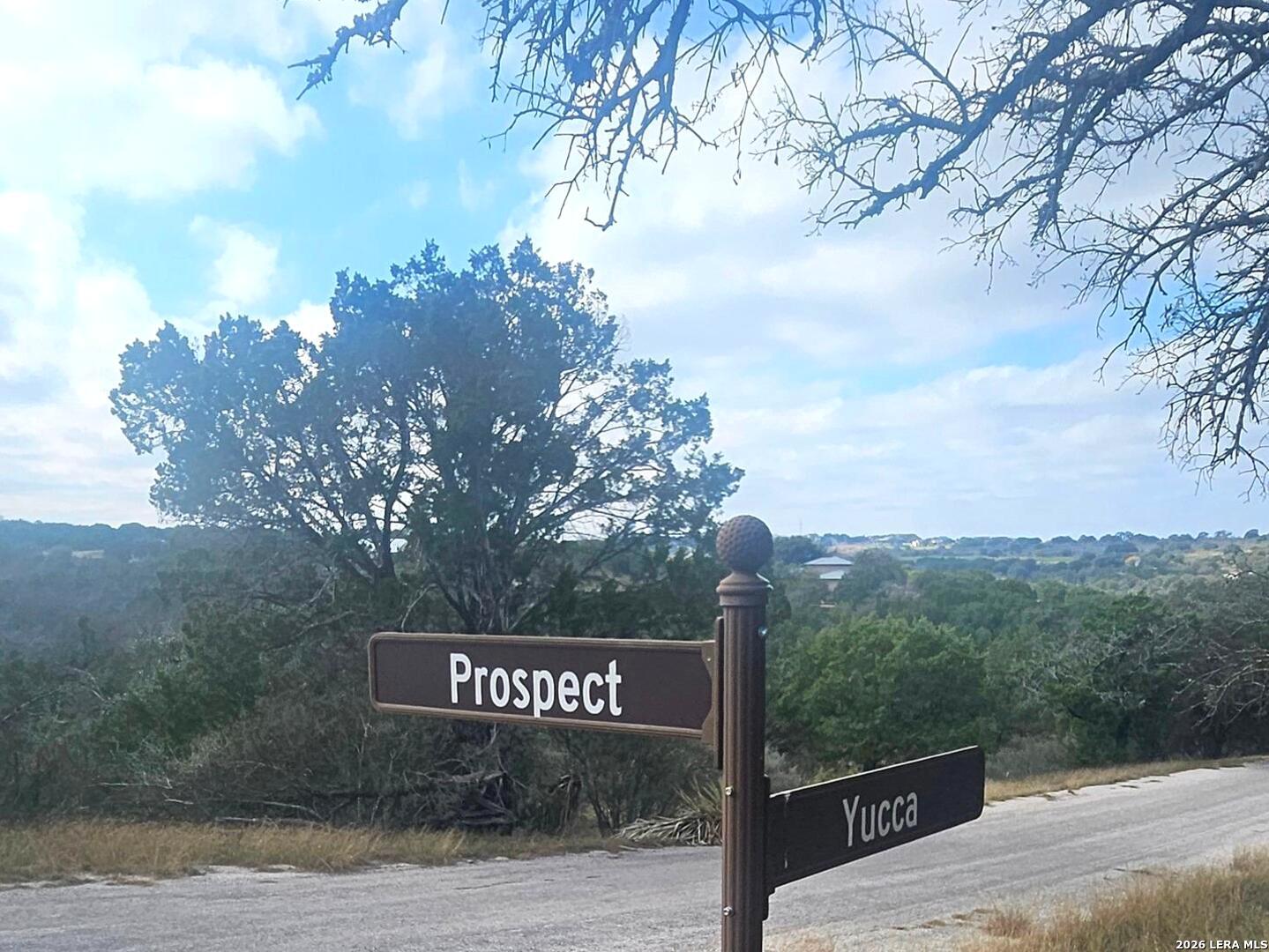 Prospect/yucca Prospect/yucca Austin, TX 78748 - Photo 14 of 25 a view of a street with a tree in the background
