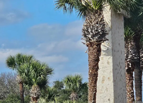 a view of a backyard of a house