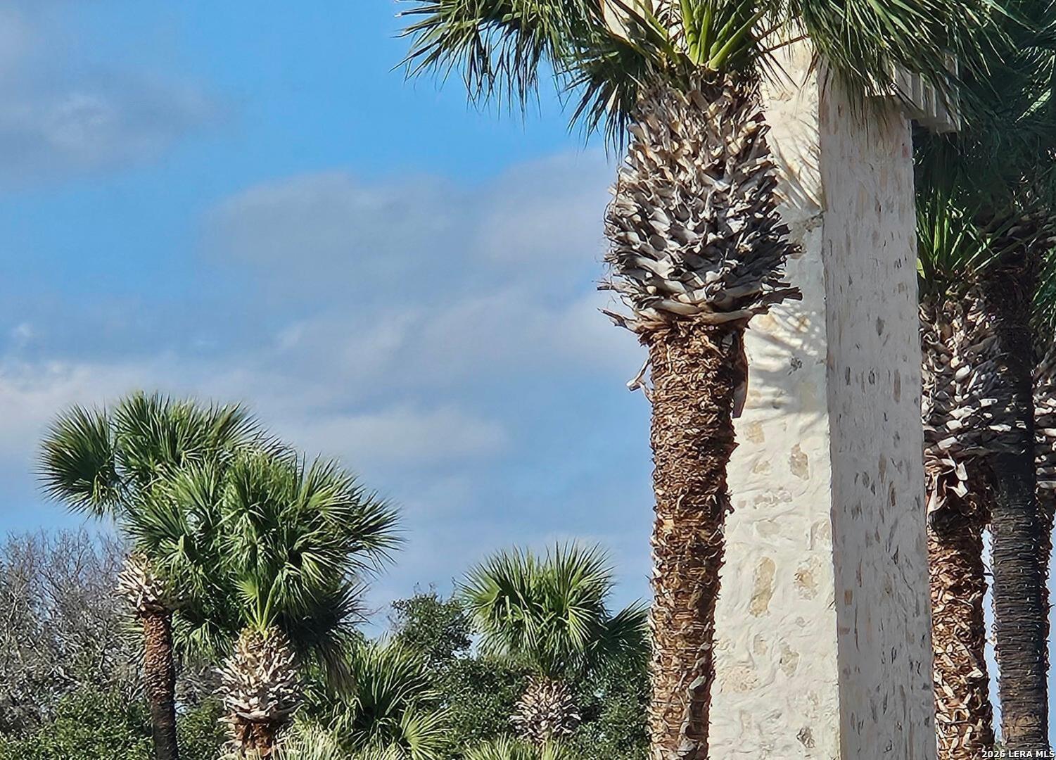 Prospect/yucca Prospect/yucca Austin, TX 78748 - Photo 18 of 25 a plant that is in front of a building