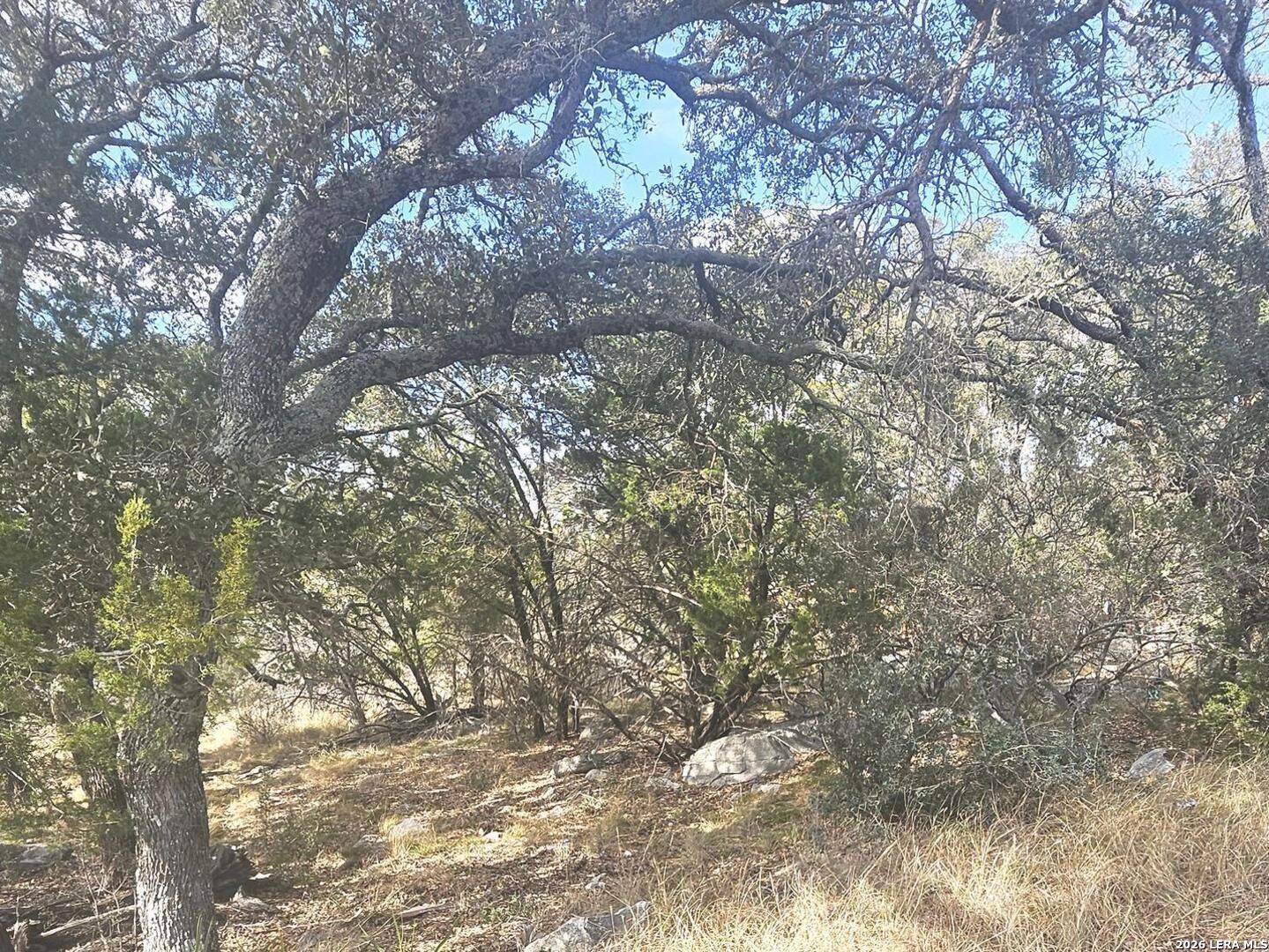 Prospect/yucca Prospect/yucca Austin, TX 78748 - Photo 25 of 25