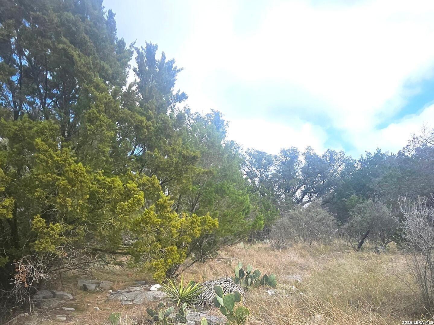 Prospect/yucca Prospect/yucca Austin, TX 78748 - Photo 4 of 25 a view of a city with lush green forest