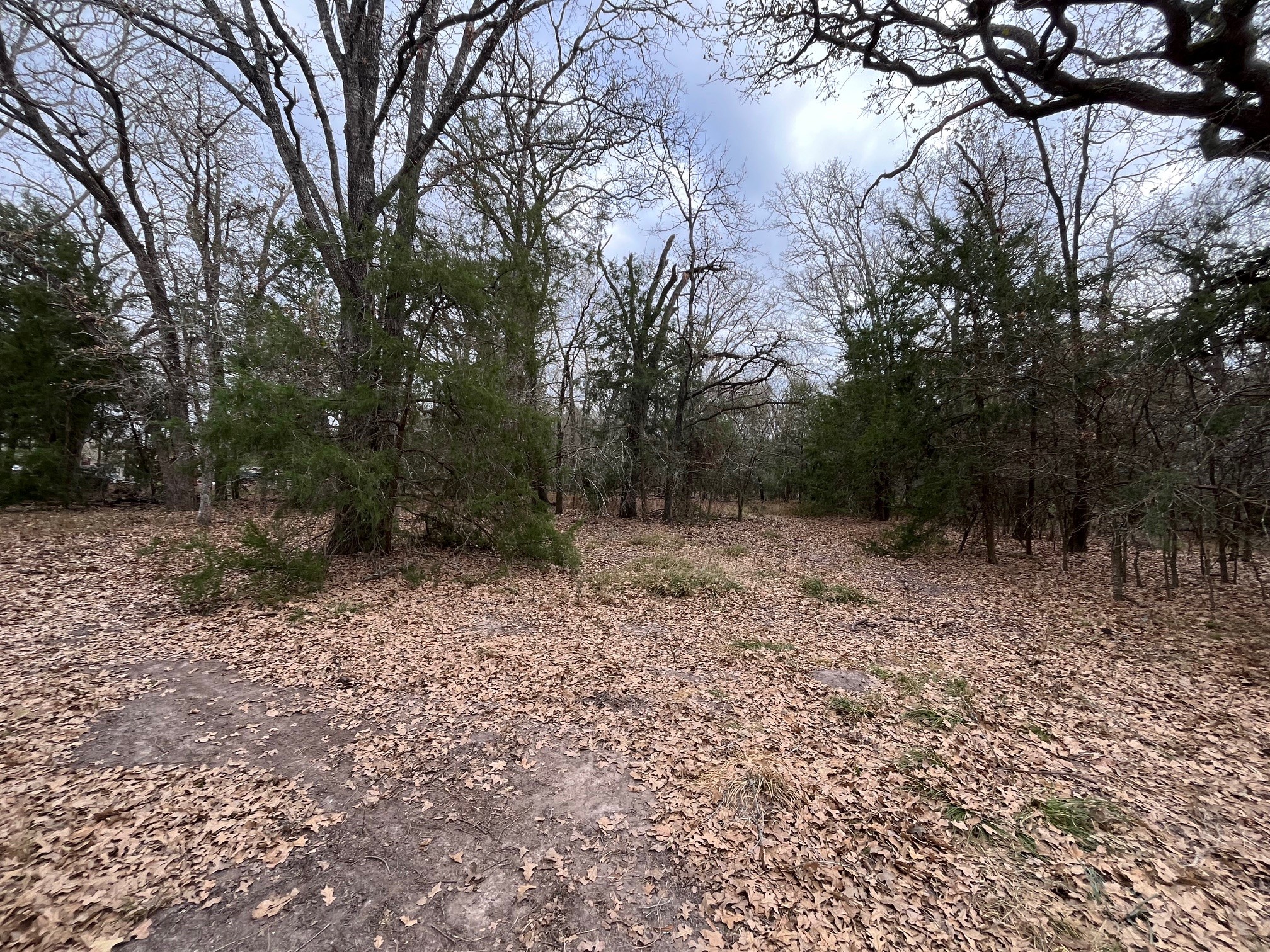 571 Railroad Road Somerville, TX 77879 - Photo 6 of 18