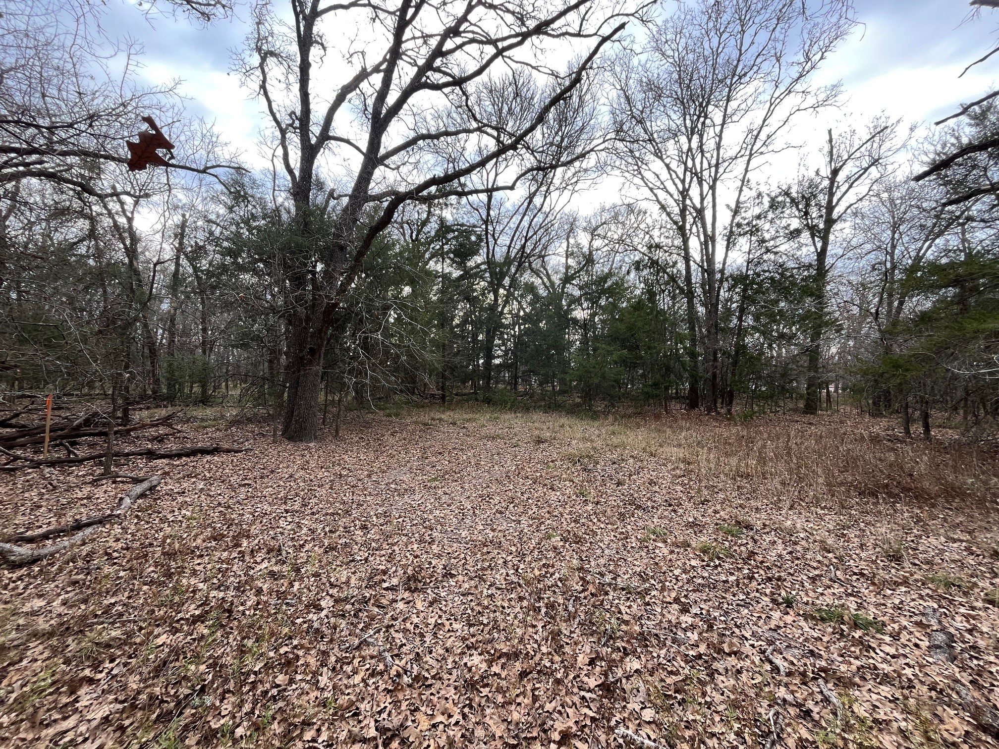 571 Railroad Road Somerville, TX 77879 - Photo 8 of 18