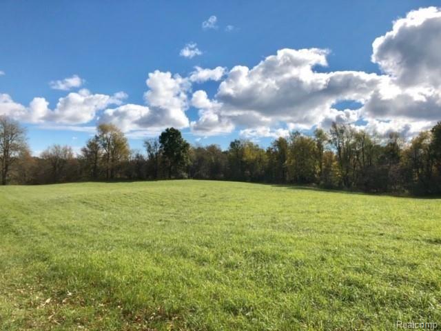 Vl Calkins Road Dryden, MI 48428 - Photo 1 of 8