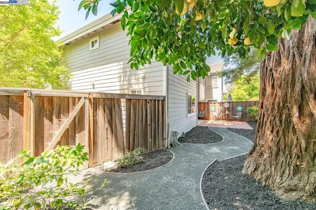 a view of a backyard with tree