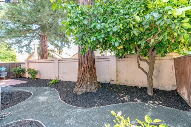 a view of a backyard