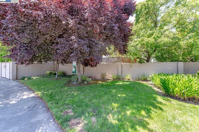 a view of a backyard with green space