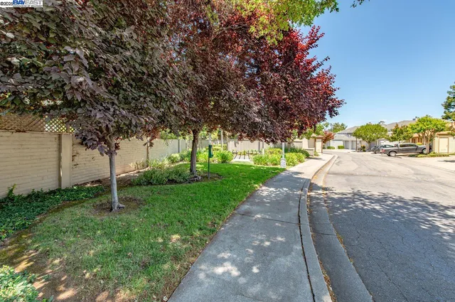 a backyard of a house with lots of green space