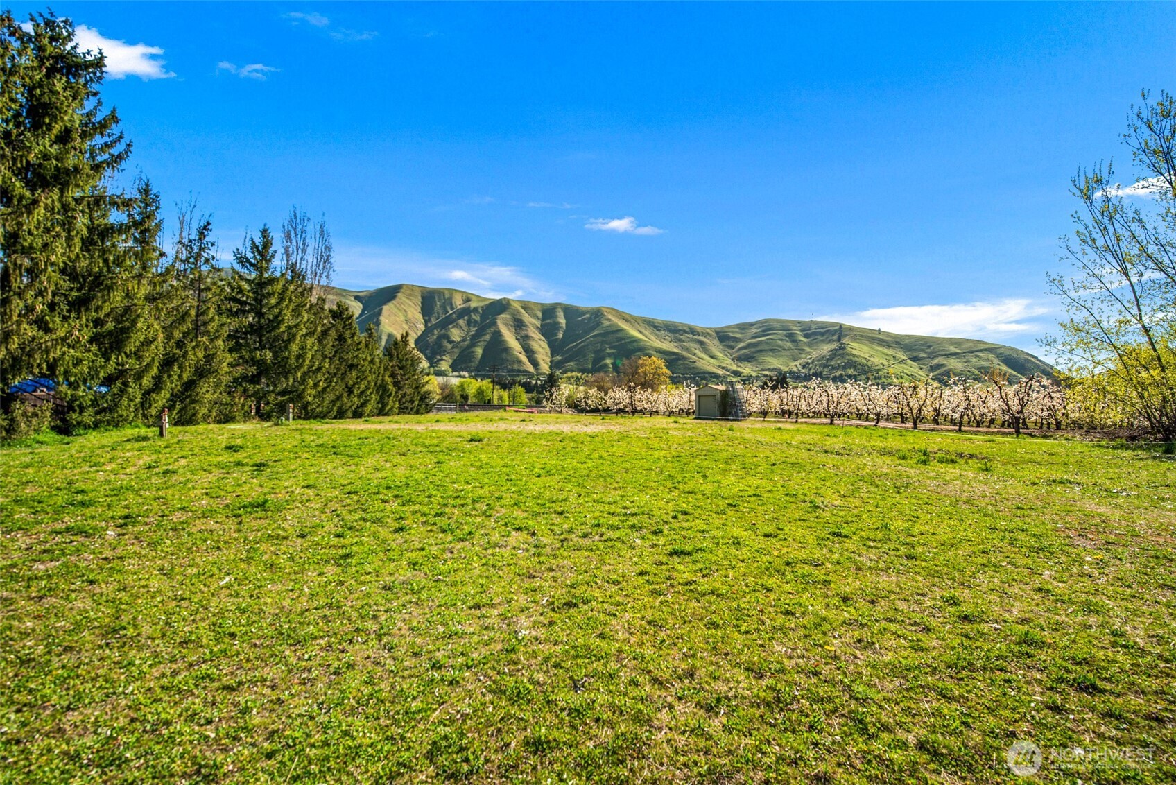0 Bridge Street Monitor, WA 98836 - Photo 11 of 11