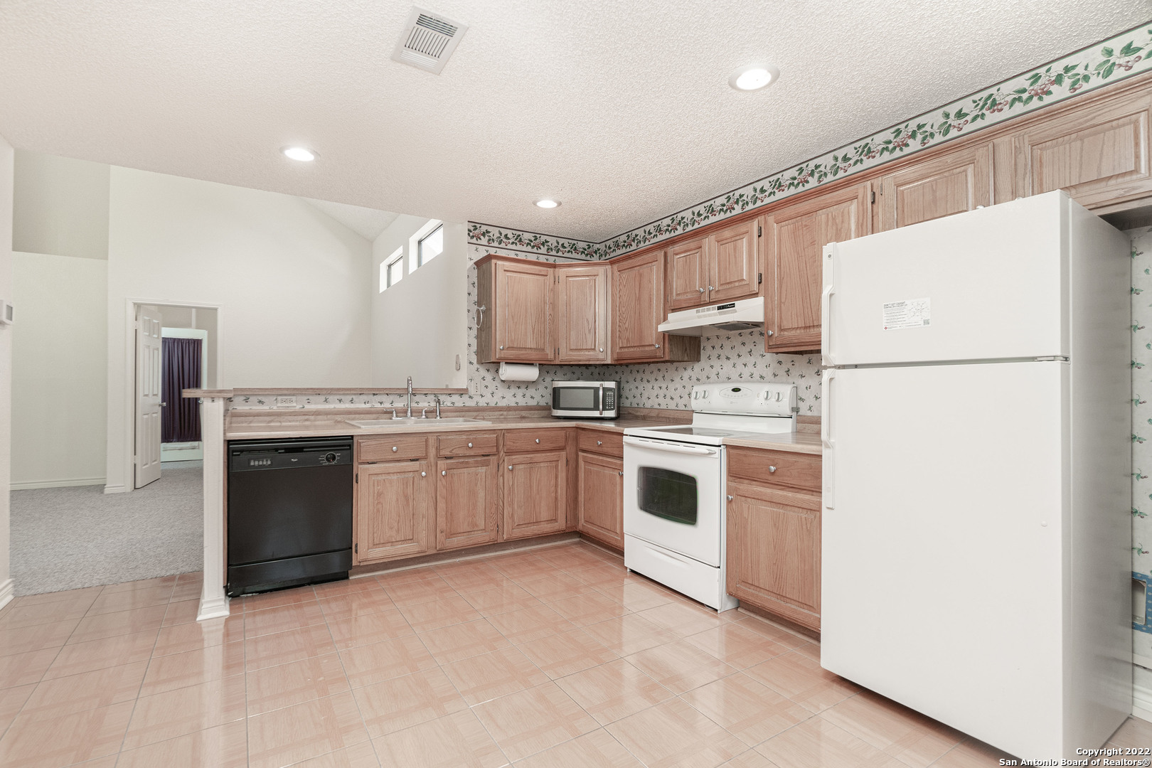 16618 Spruce Tree Lane San Antonio, TX 78247 - Photo 6 of 14