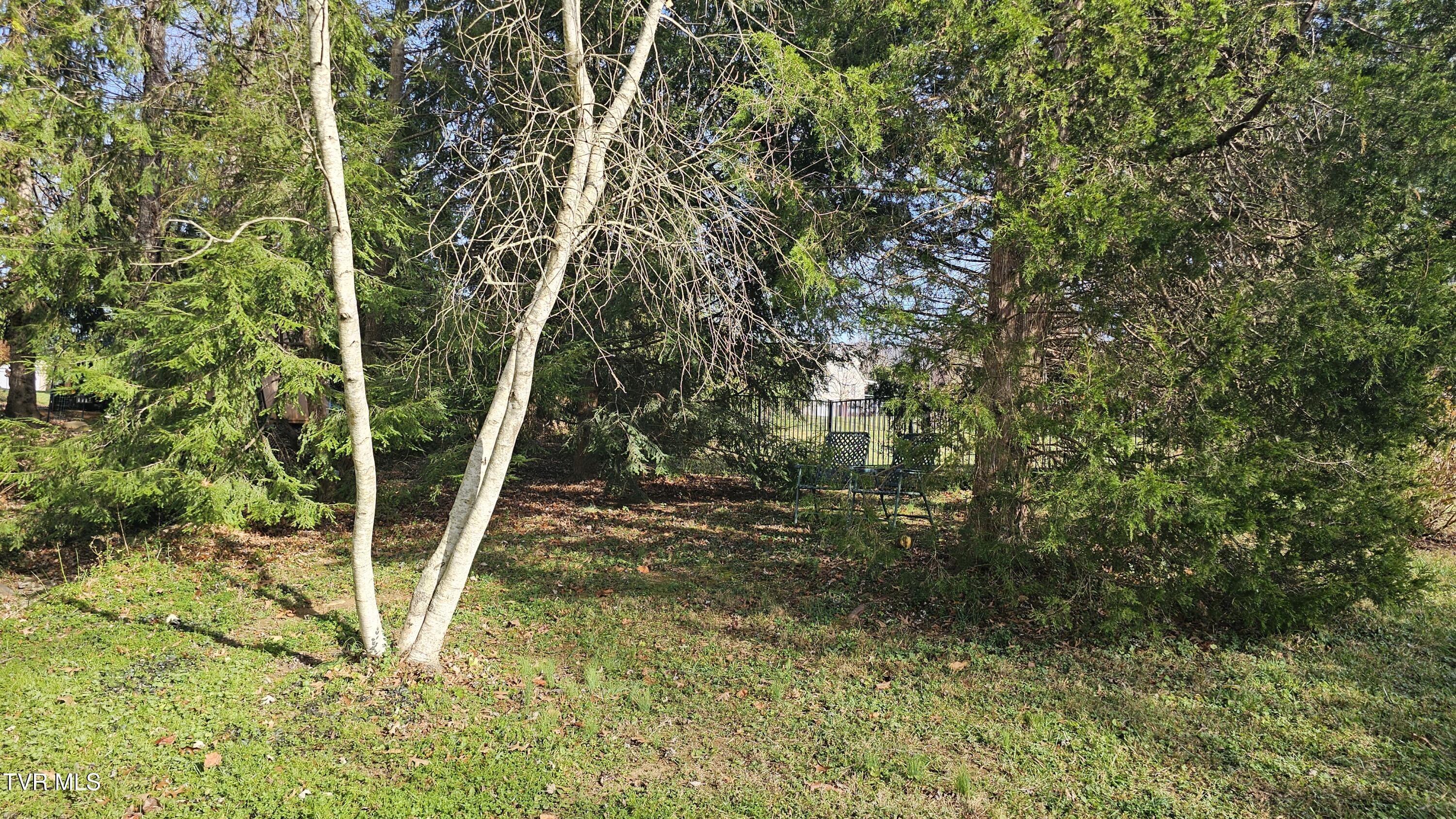 904 Mountainview Road Erwin, TN 37650 - Photo 12 of 26 11