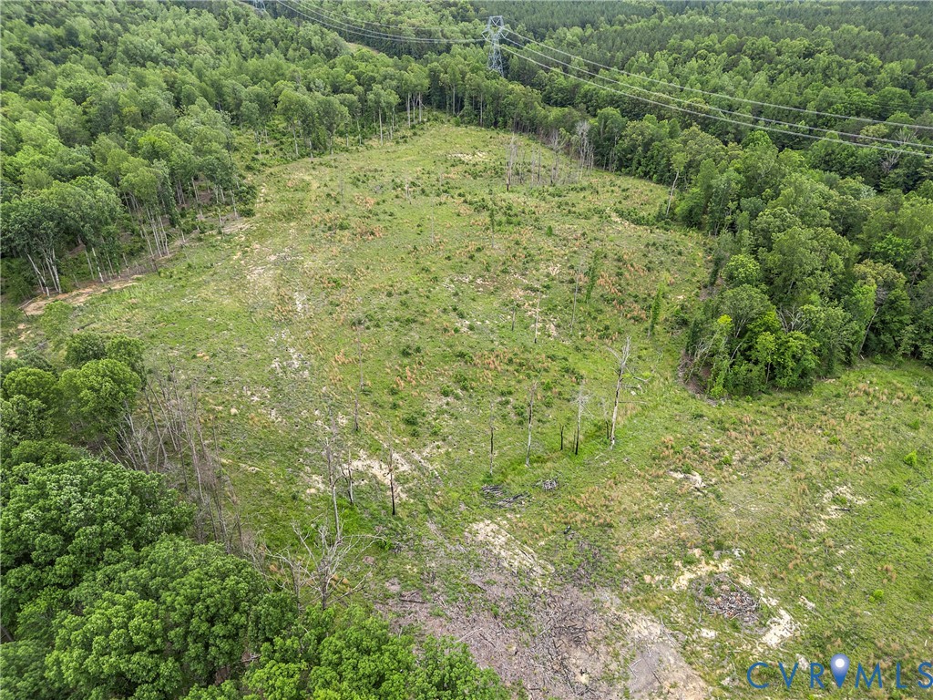 0 Carysbrook Road Palmyra, VA 22963 - Photo 4 of 19