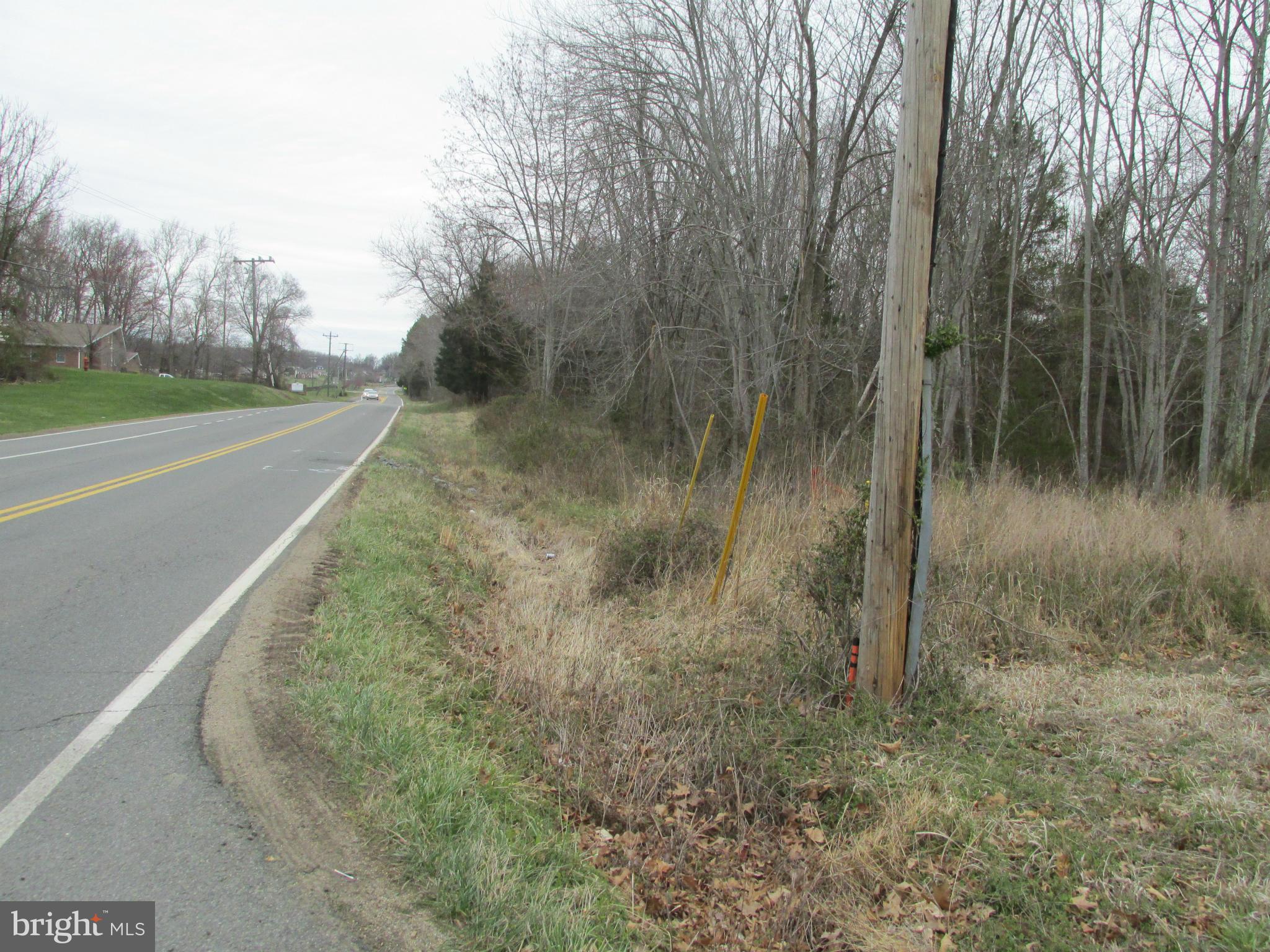 Riley Road Warrenton, VA 20187 - Photo 1 of 13 a view of a forest filled with trees