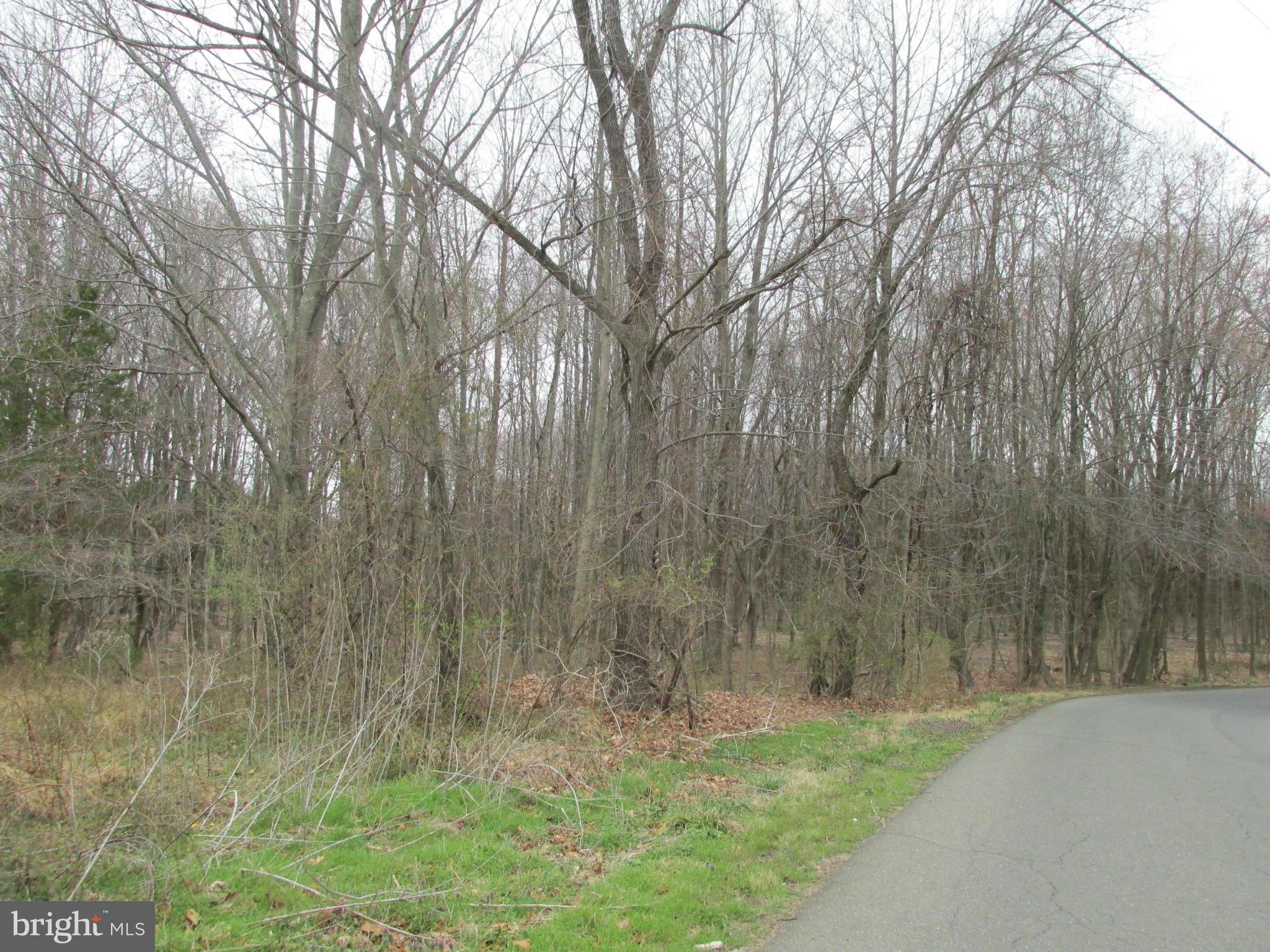 Riley Road Warrenton, VA 20187 - Photo 11 of 13 a view of a yard