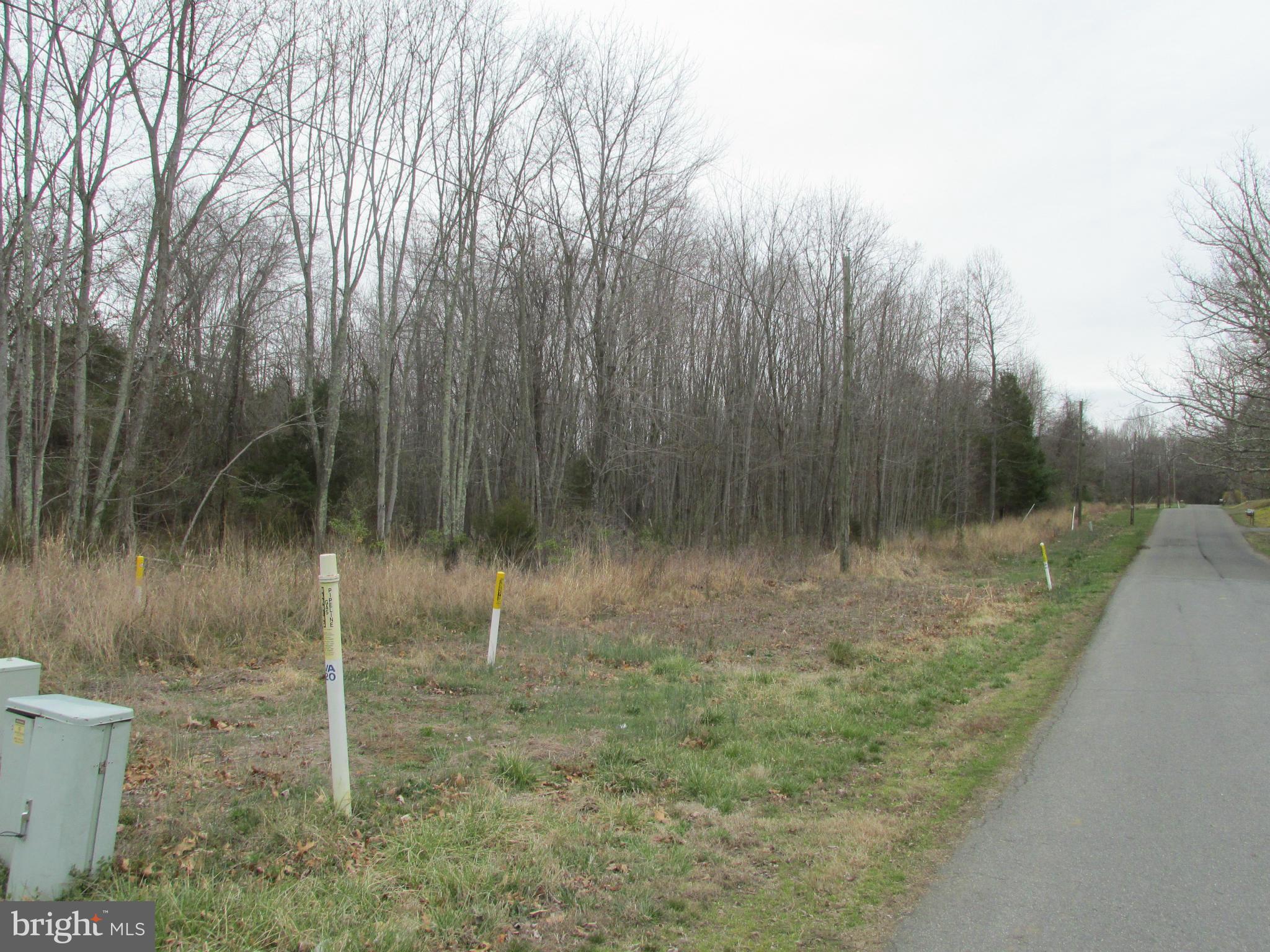 Riley Road Warrenton, VA 20187 - Photo 10 of 13 a view of a lush green forest