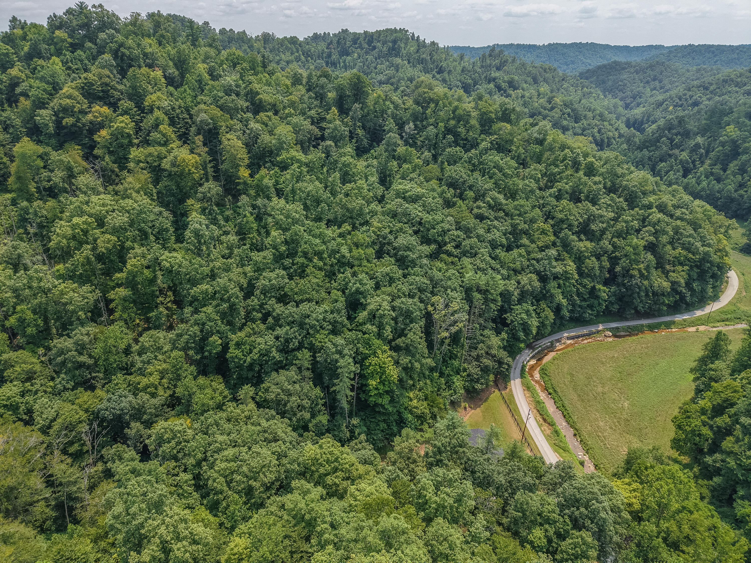 3750 Hunting Creek Road Rousseau, KY 41366 - Photo 46 of 52 DJI_20260727140908_0091_D