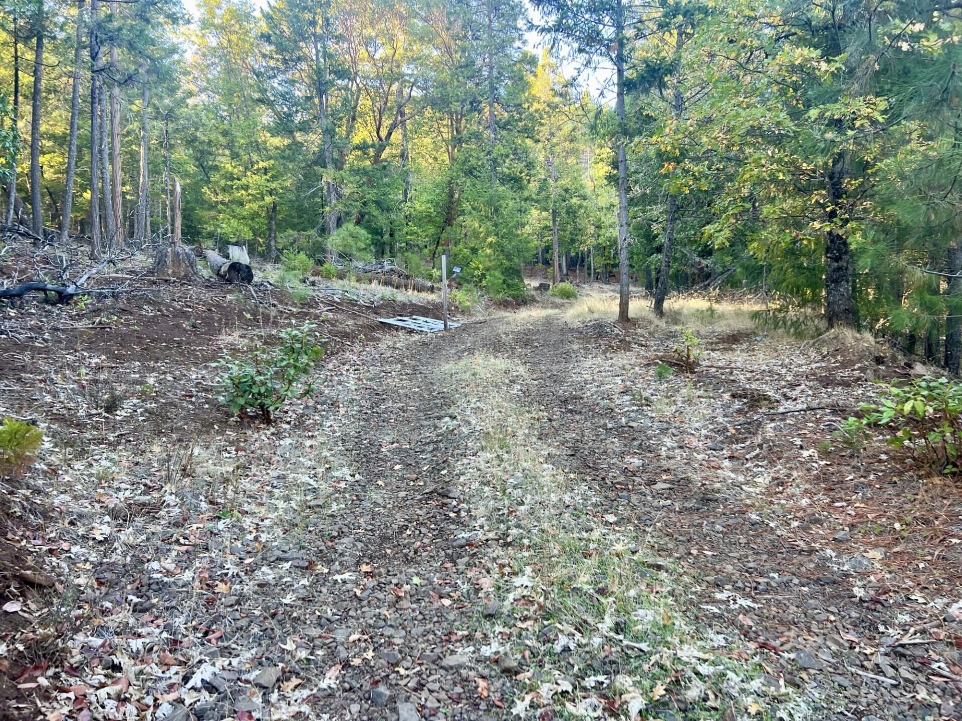 501 Elder Mill Road Trail, OR 97541 - Photo 2 of 12 thumbnail_IMG_7014