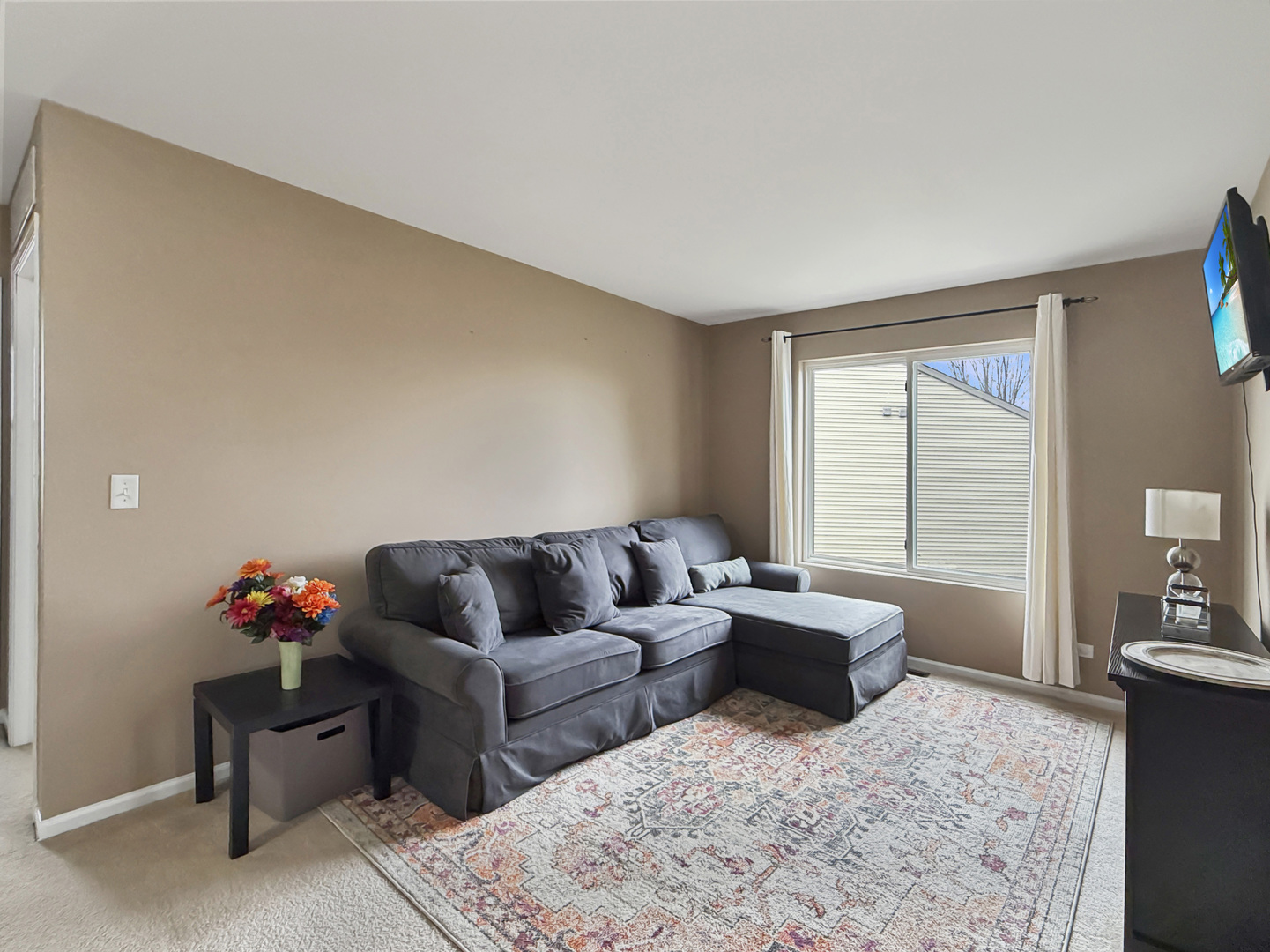 1114 Port Royal Road Pingree Grove, IL 60140 - Photo 17 of 25 a living room with furniture and a potted plant