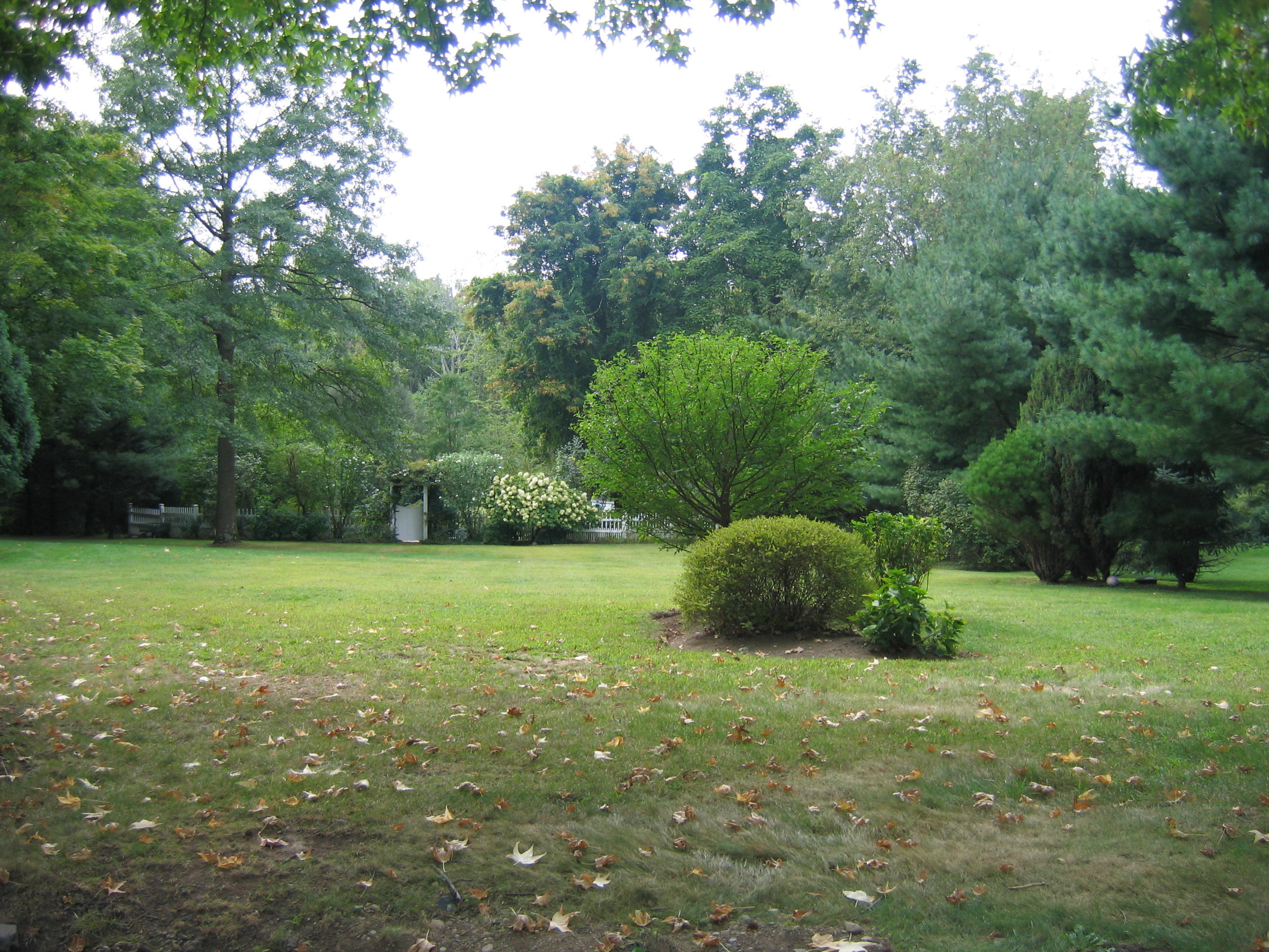 525 Middlesex Road Darien, CT 06820 - Photo 6 of 11 a view of a field of grass and trees