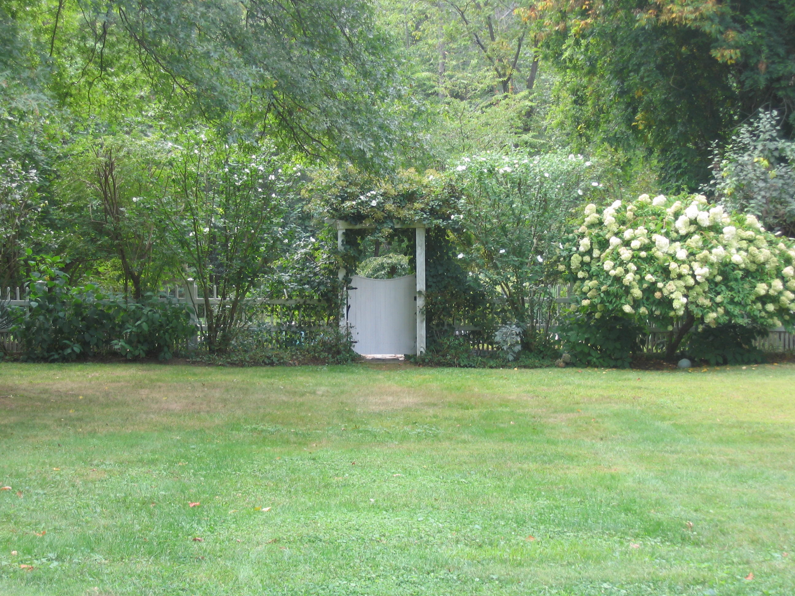 525 Middlesex Road Darien, CT 06820 - Photo 8 of 11 a backyard of a house with lots of green space and fountain