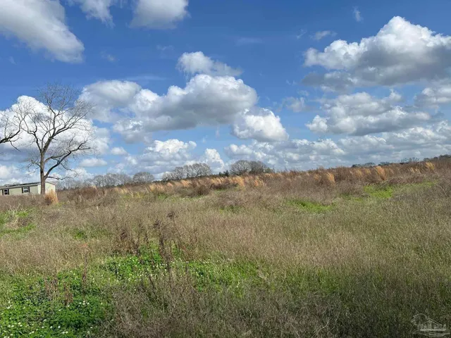 $44,390 | 0 T Bridge Road, Red Level, AL 36474