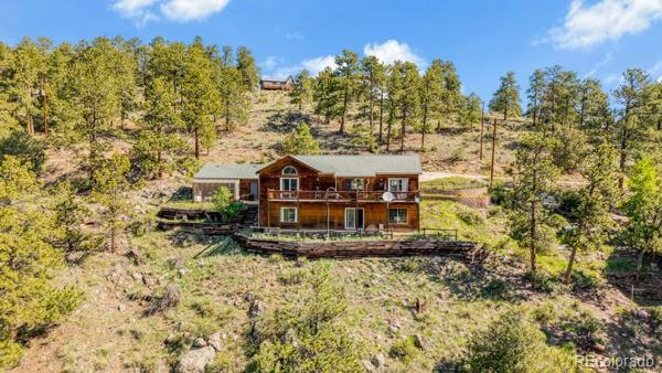 182 Spruce Trail Bailey, CO 80421 - Photo 29 of 34