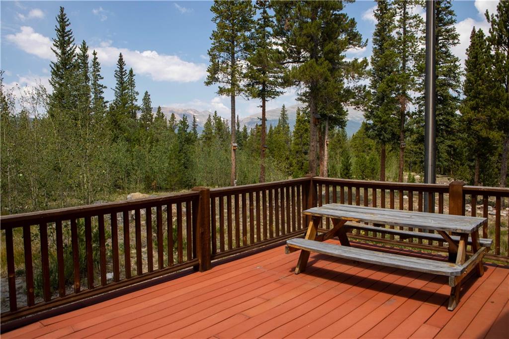 425 Potentilla Road Alma, CO 80420 - Photo 30 of 35 Gallery Image 30