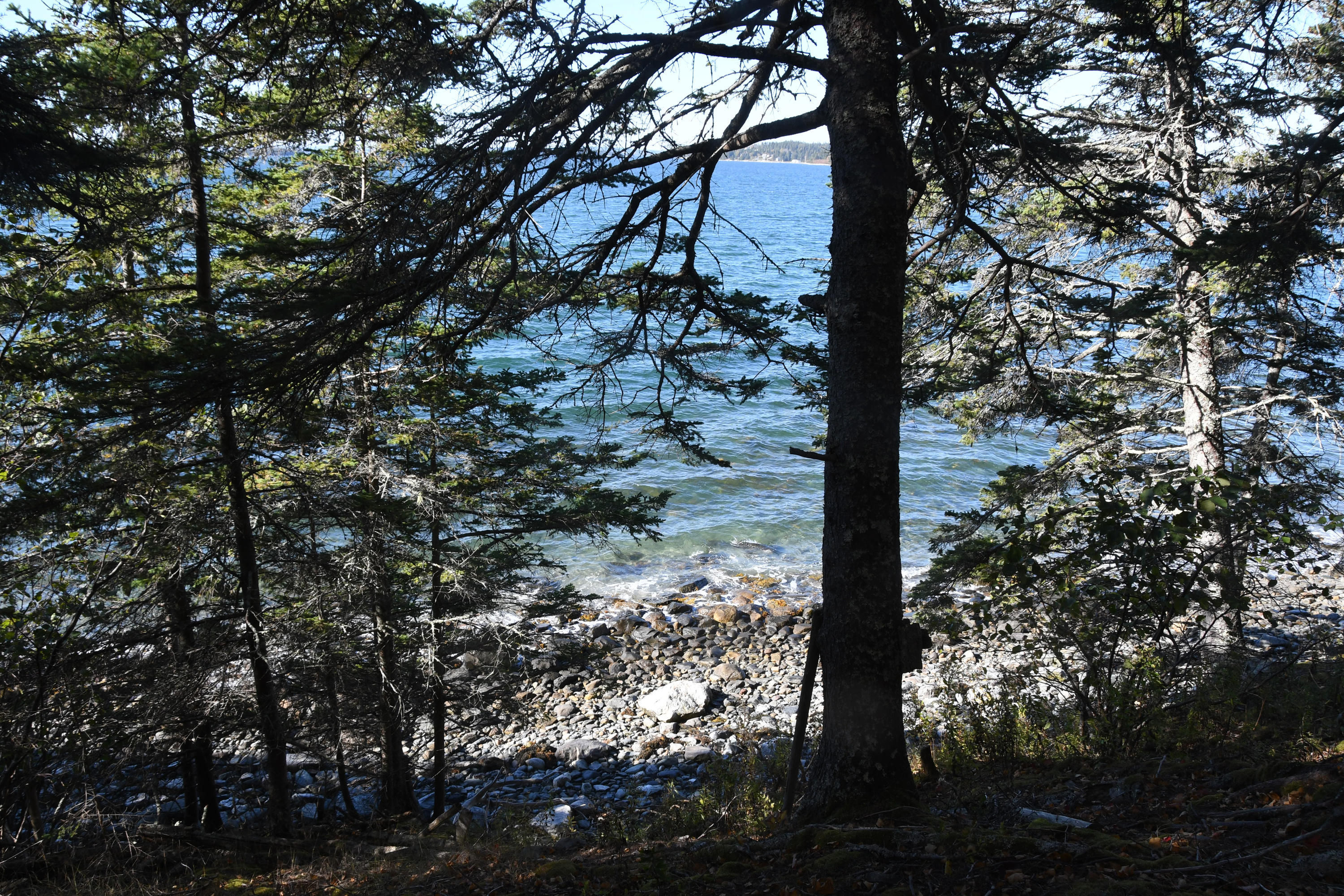 01 North Deer Isle Road Deer Isle, ME 04627 - Photo 2 of 34 20171021_AnneKeck_036