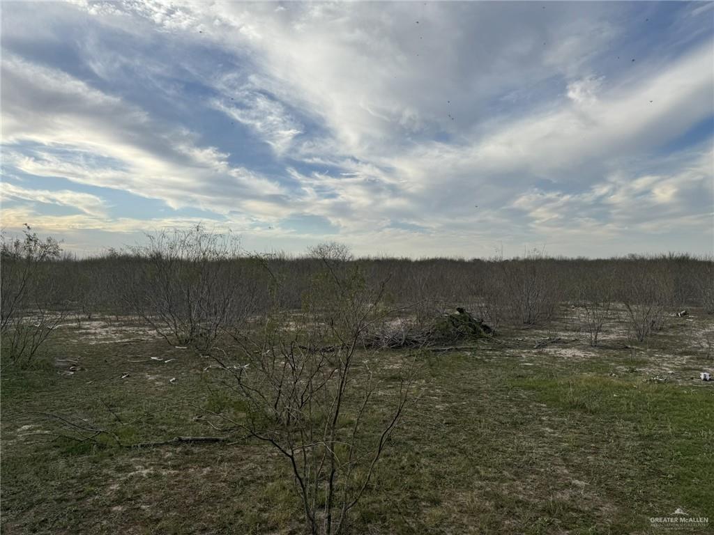 0 Fm 490 Edcouch, TX 78538 - Photo 1 of 1 a view of lake with mountain