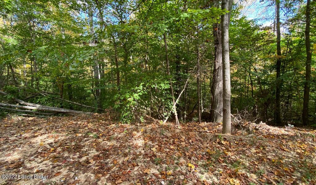 L49 Ted Logsdon Road Clarkson, KY 42726 - Photo 6 of 7 River View Fall292
