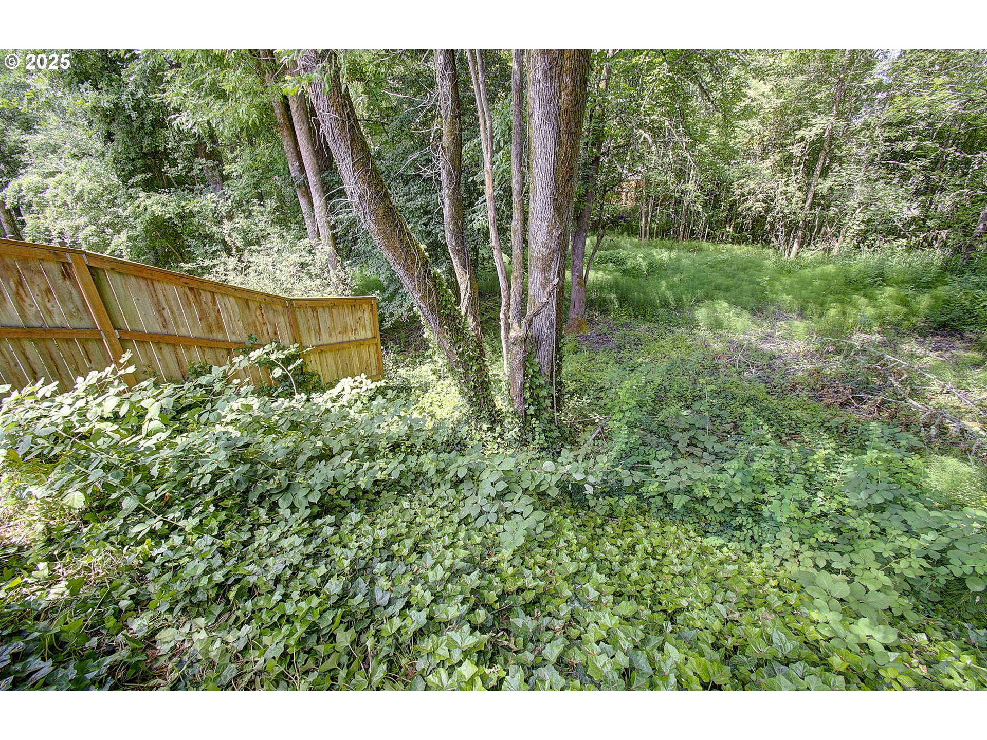 10535 Southwest 135th Avenue Beaverton, OR 97008 - Photo 32 of 37