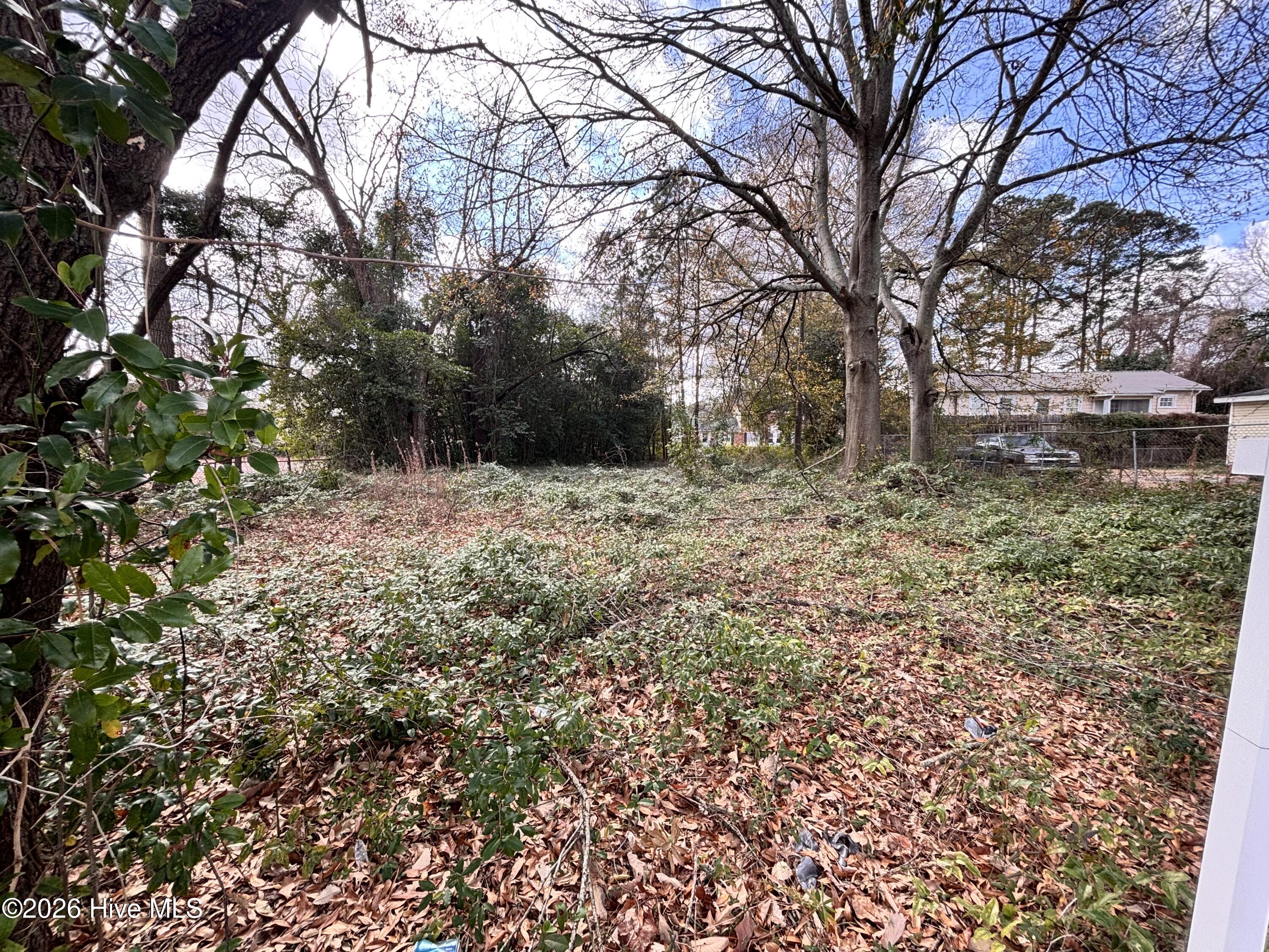 116 South Chestnut Street Clinton, NC 28328 - Photo 2 of 5 IMG_0951