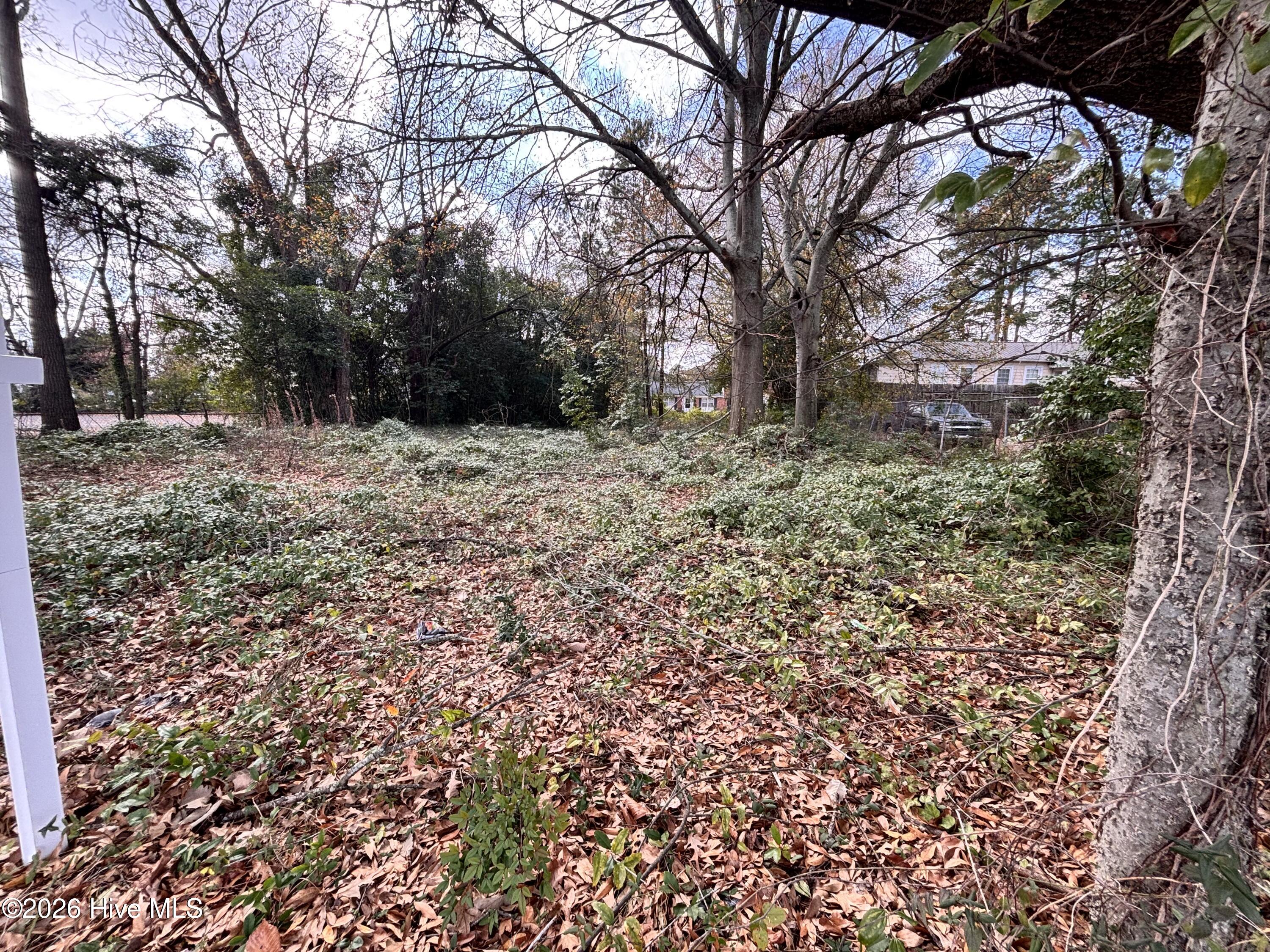 116 South Chestnut Street Clinton, NC 28328 - Photo 3 of 5 IMG_0952