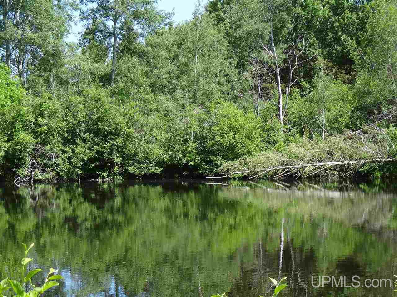 Tbd Walstrom Road Atlantic Mine, MI 49905 - Photo 17 of 23 Gallery Image 17