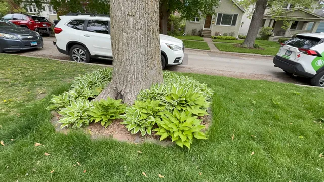 $1,950 | 1918 Noyes Street, Unit FRONT, Evanston, IL 60201