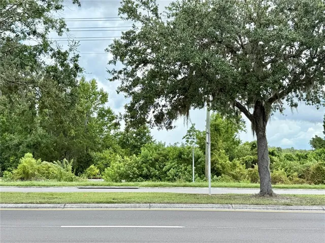 a view of a yard from a tree