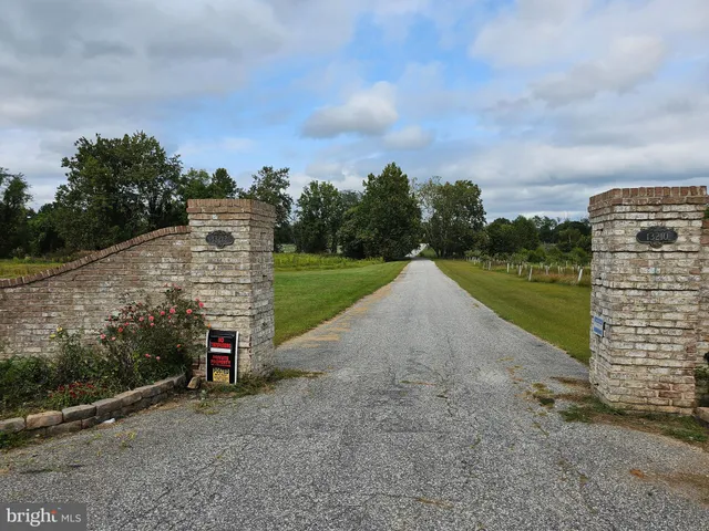 a view of a grassy field with trees in the background