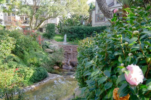 a view of a garden with a fountain