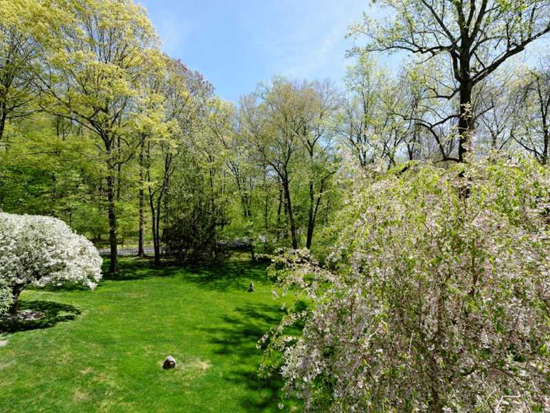 102 Long Close Road Stamford, CT 06902 - Photo 22 of 25 a view of yard with green space