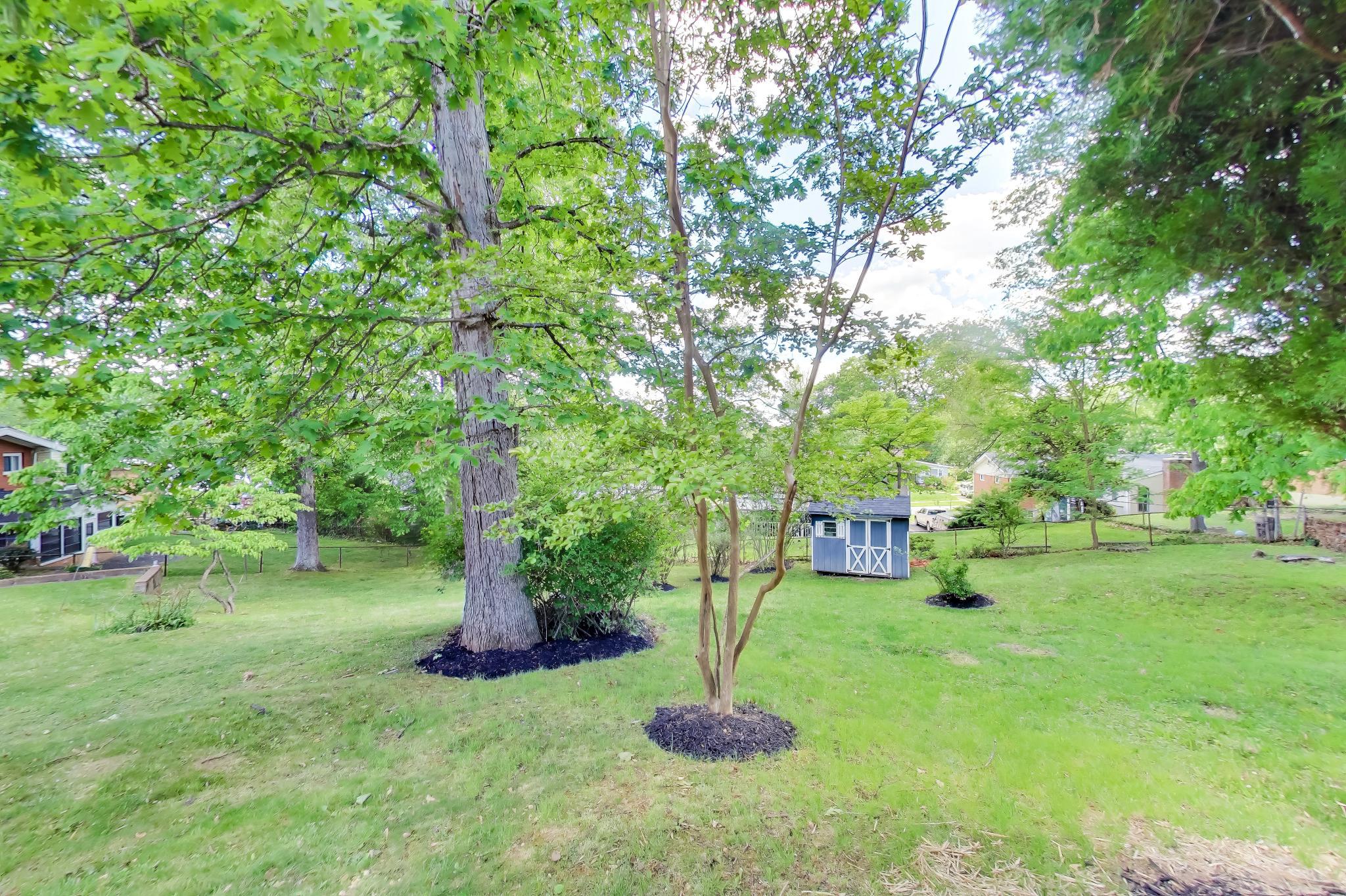 810 Malta Lane Silver Spring, MD 20901 - Photo 34 of 35 Lush green oasis with storage shed.