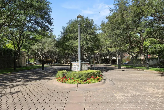 a view of a garden with plants