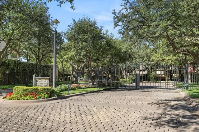 a street view with large trees